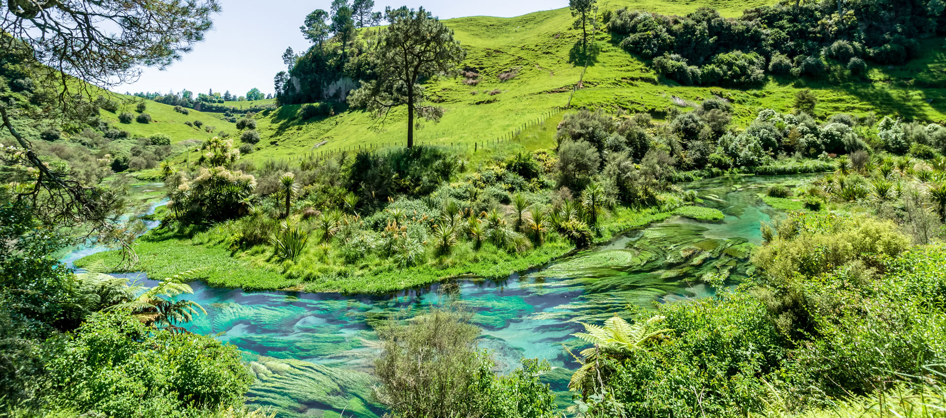 waikato-biodiversity-forum-meetings-waikato-biodiversity-forum