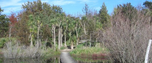 Waikato-Biodiversity-Forum-Featured-Images-3 Waikato-Biodiversity-Forum-Featured-Images-3